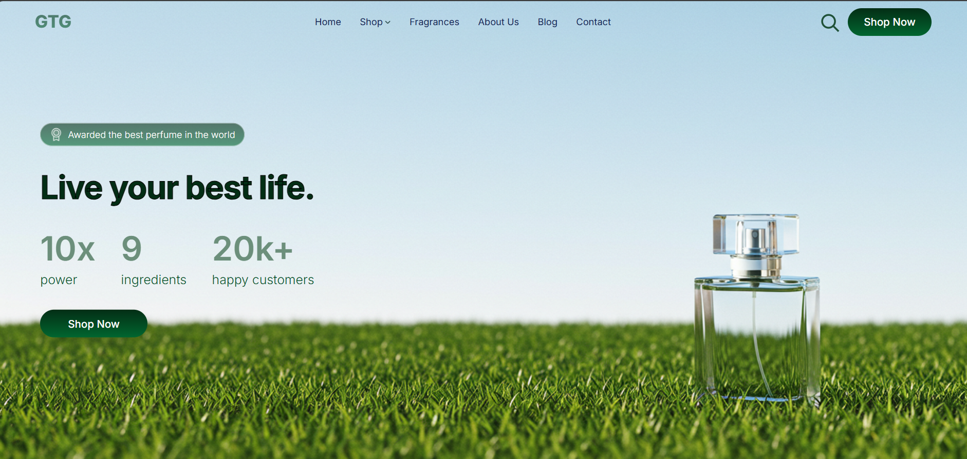 GTG luxury fragrance website preview